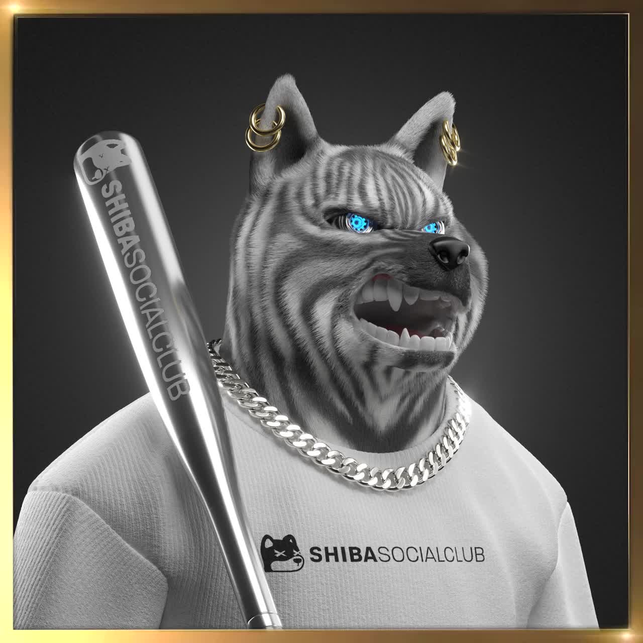 Shiba #3944