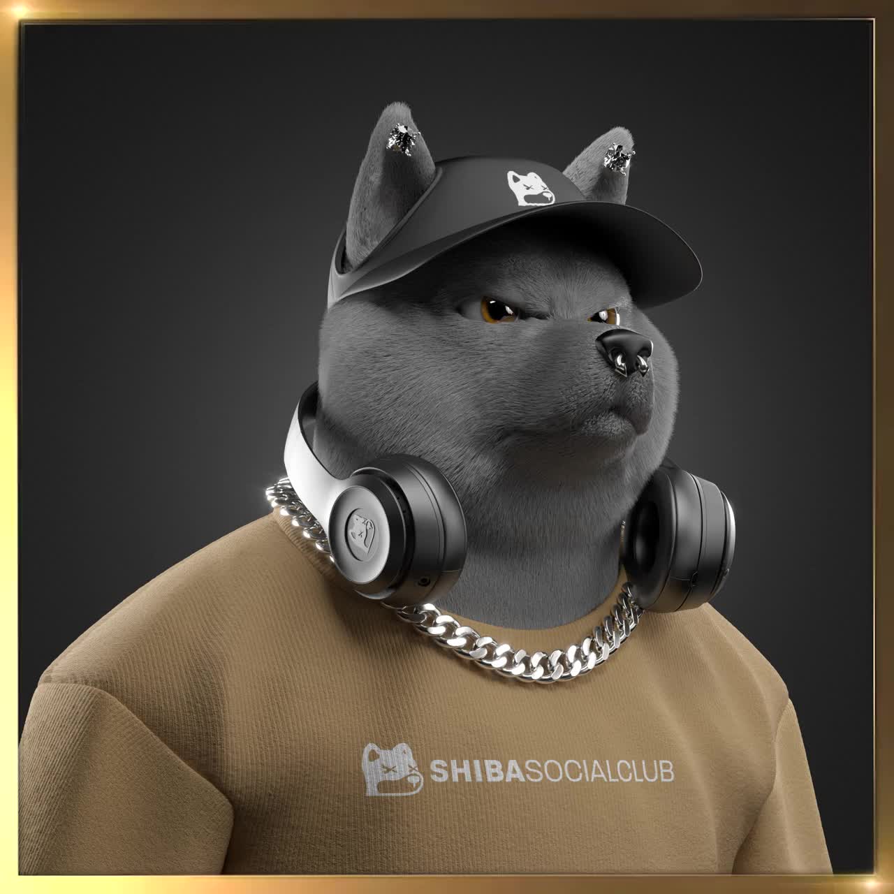 Shiba #3957