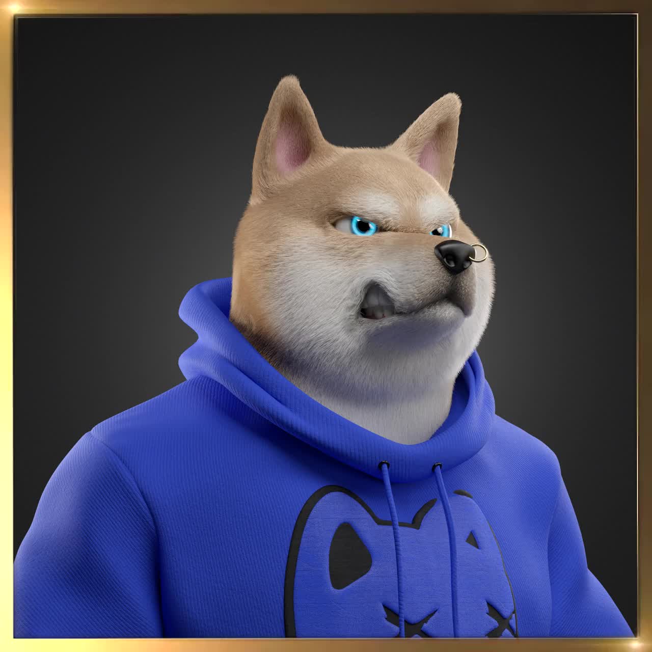 Shiba #4017