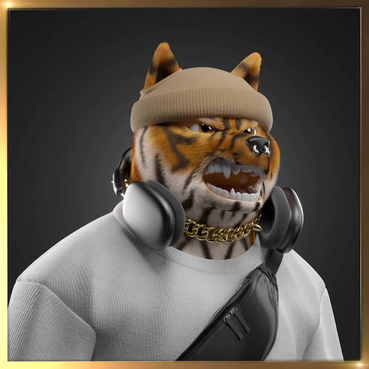 Shiba #4065