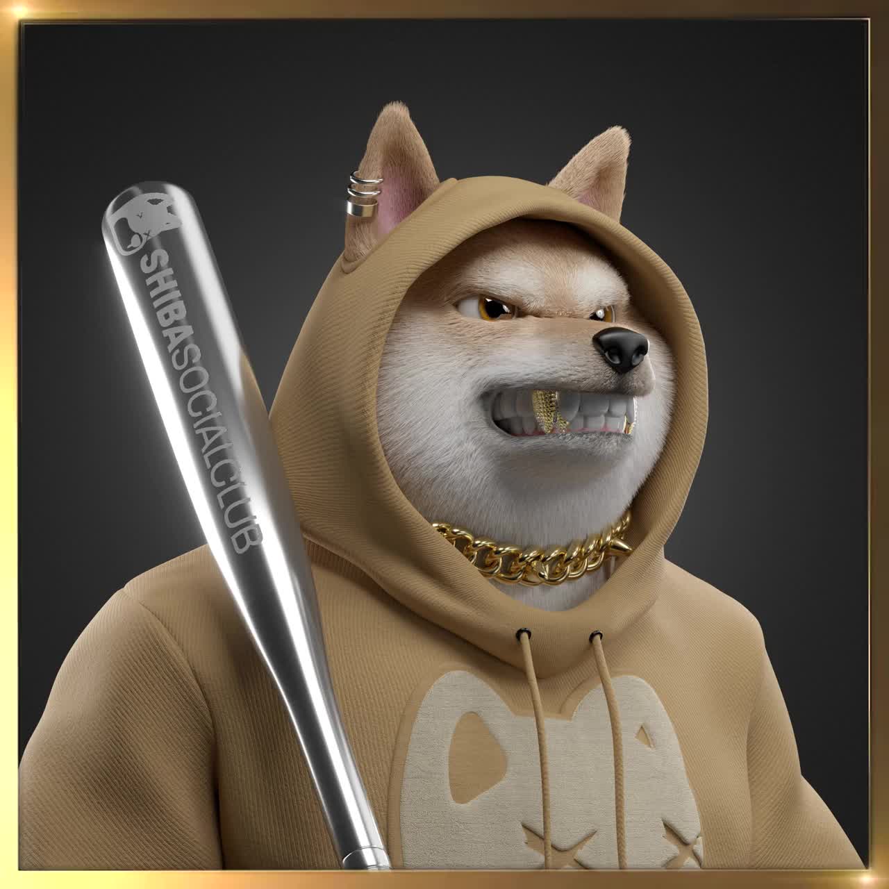 Shiba #4078