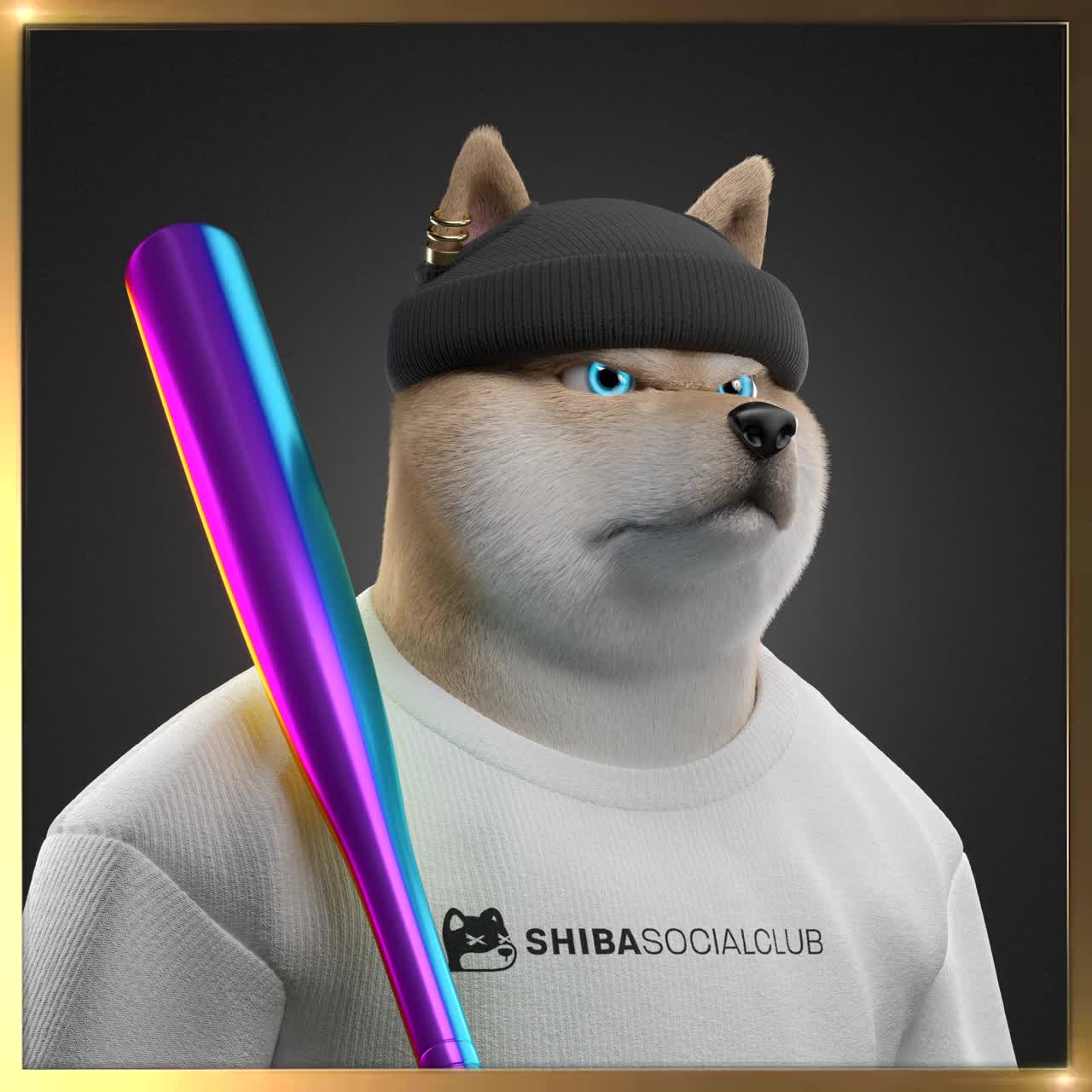 Shiba #4187
