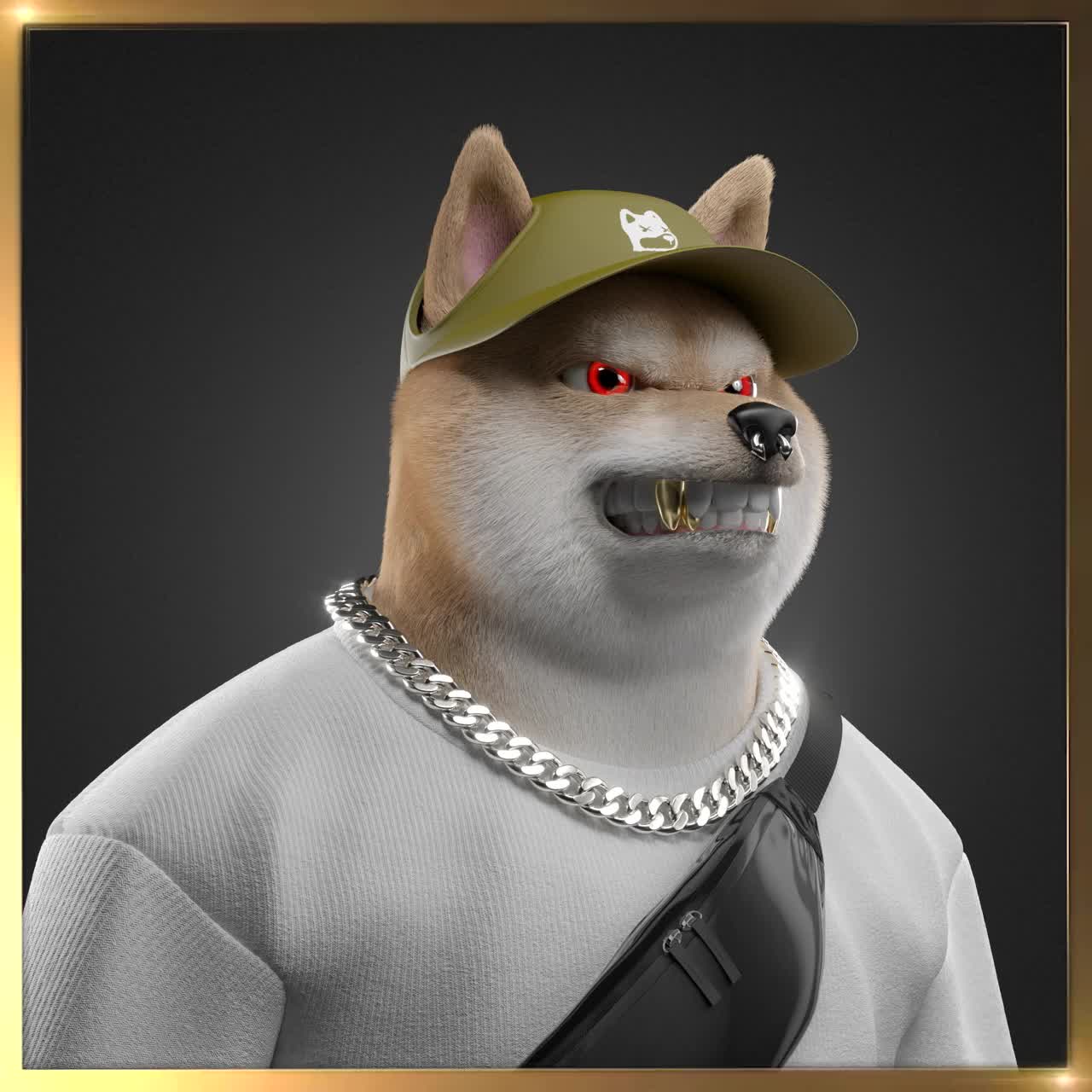 Shiba #4233