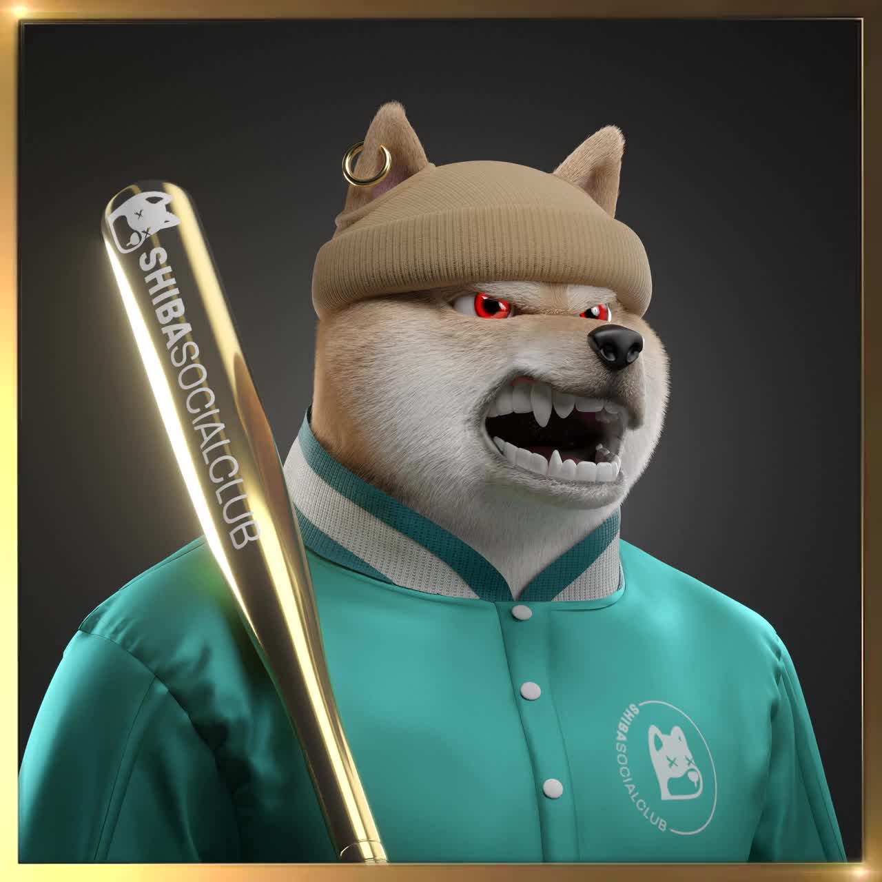 Shiba #4237