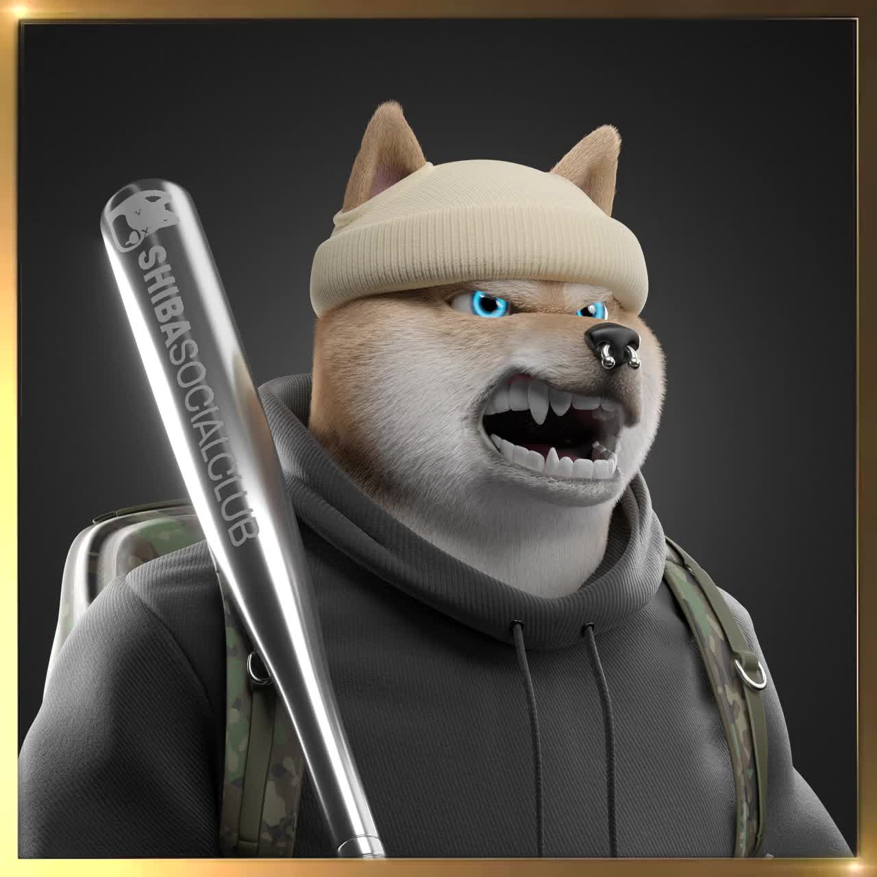 Shiba #4259