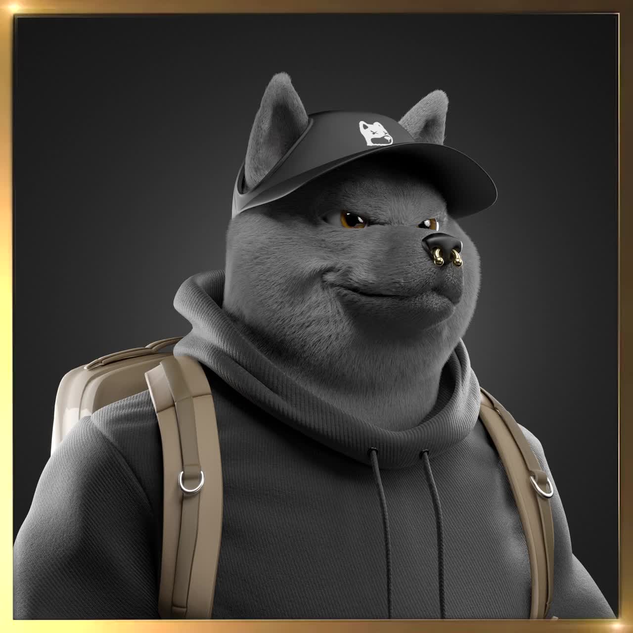 Shiba #4264