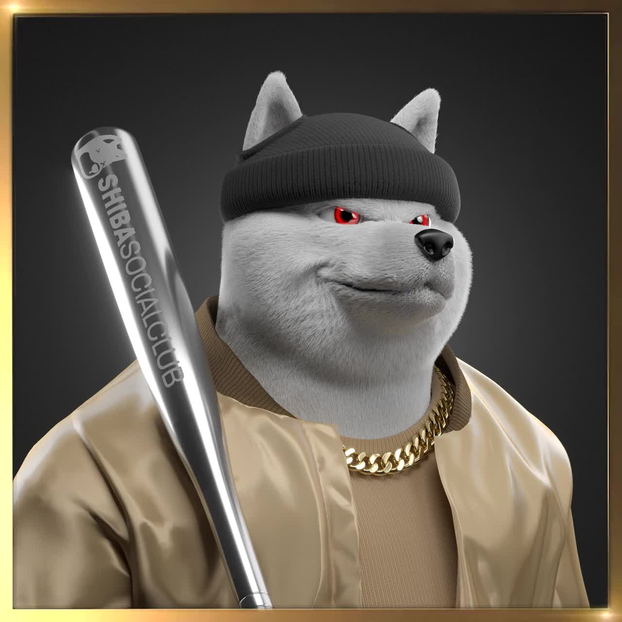Shiba #4313