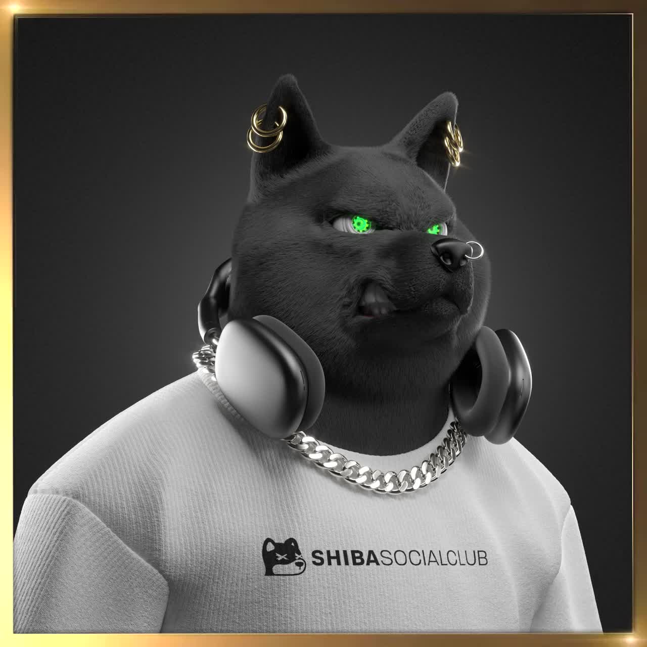 Shiba #4322