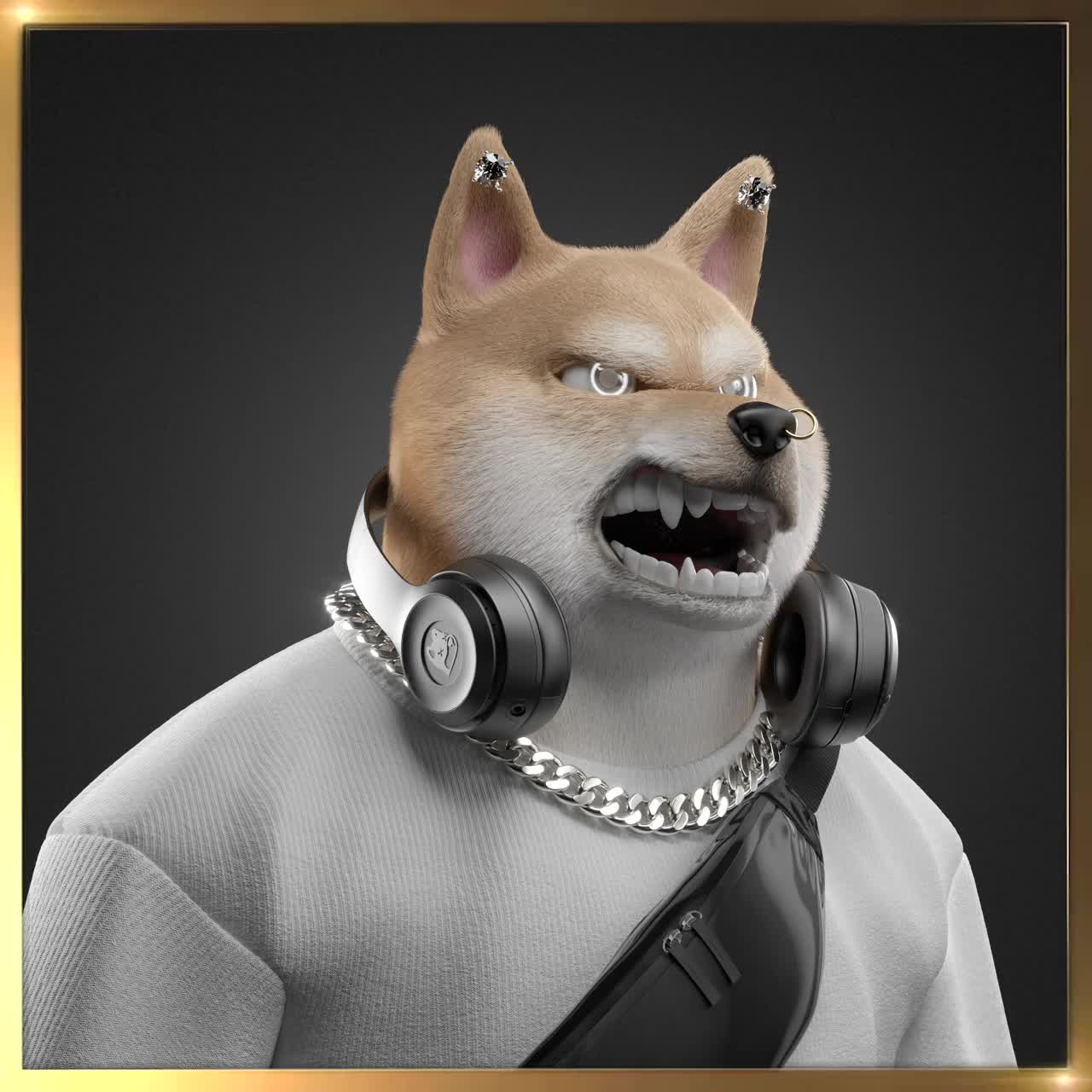 Shiba #4323