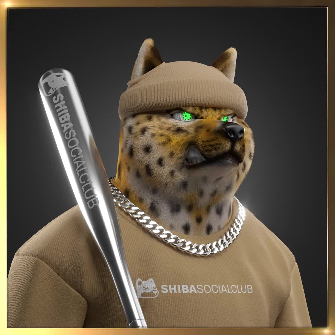 Shiba #4367