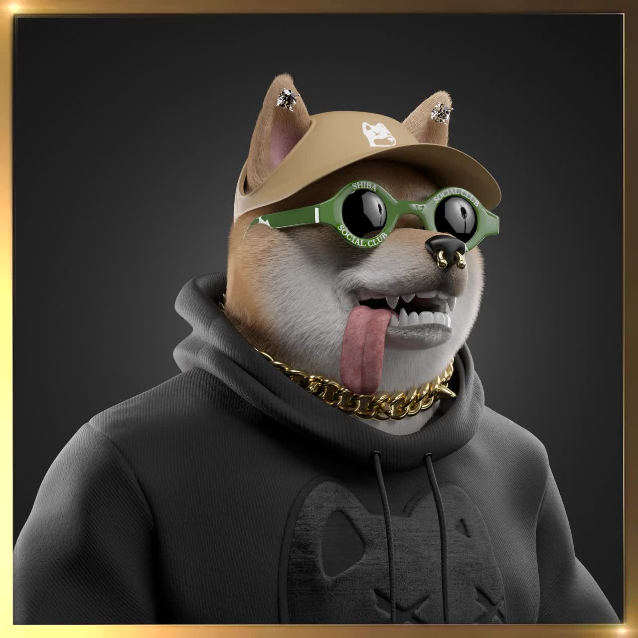 Shiba #4370