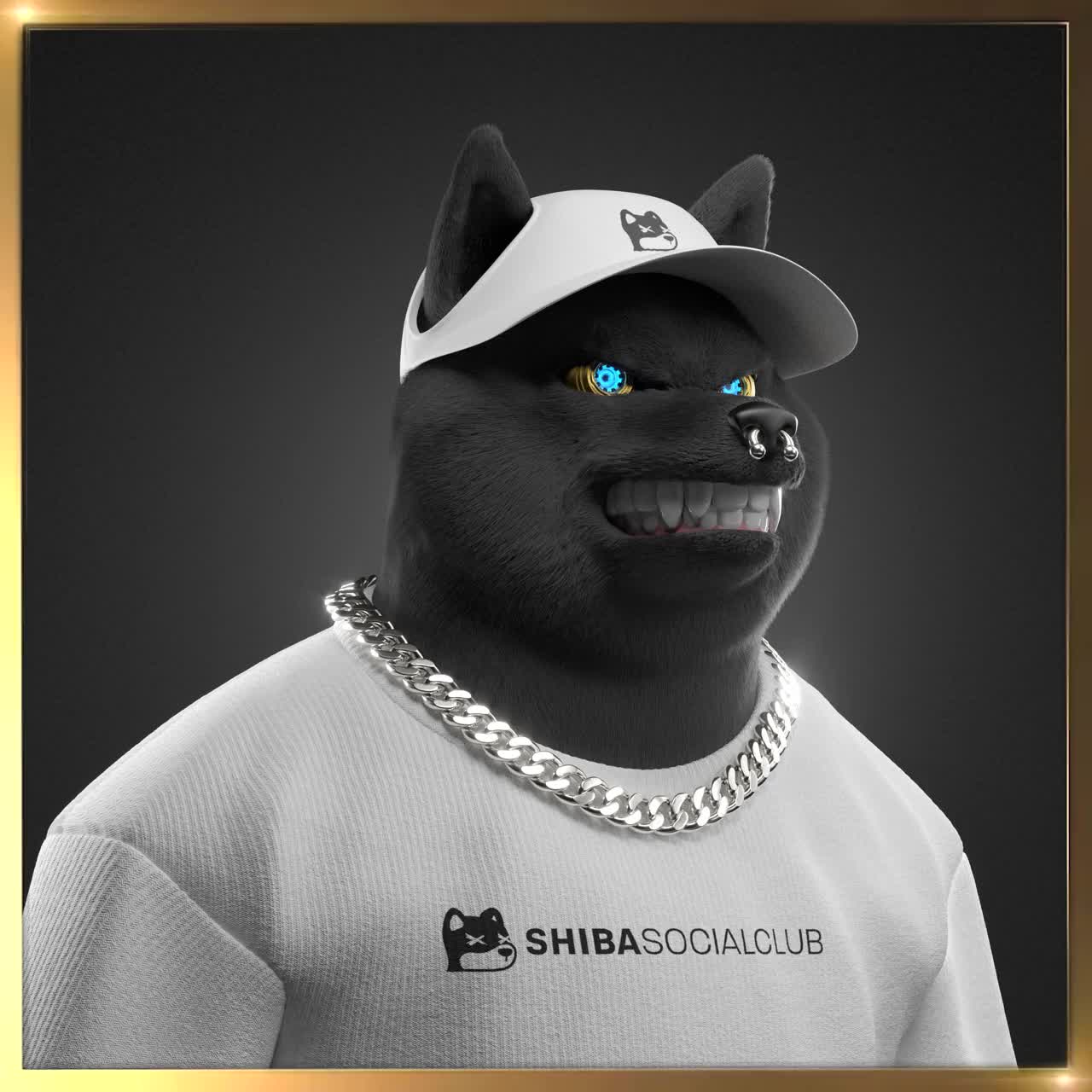 Shiba #4381
