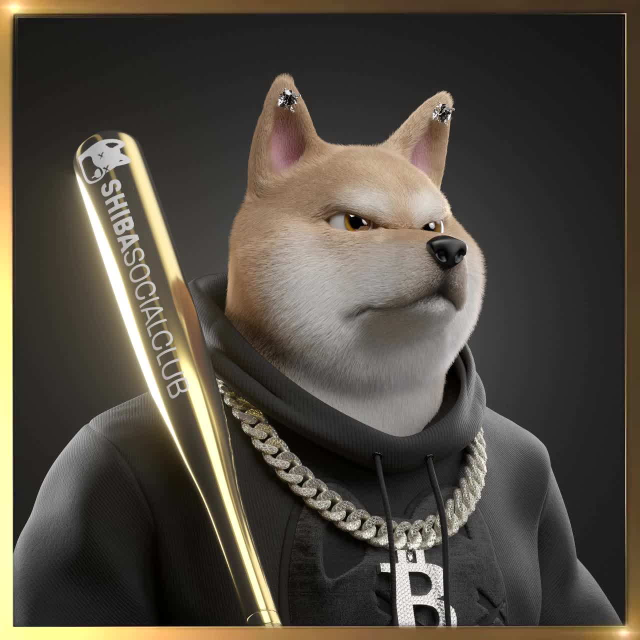 Shiba #4383