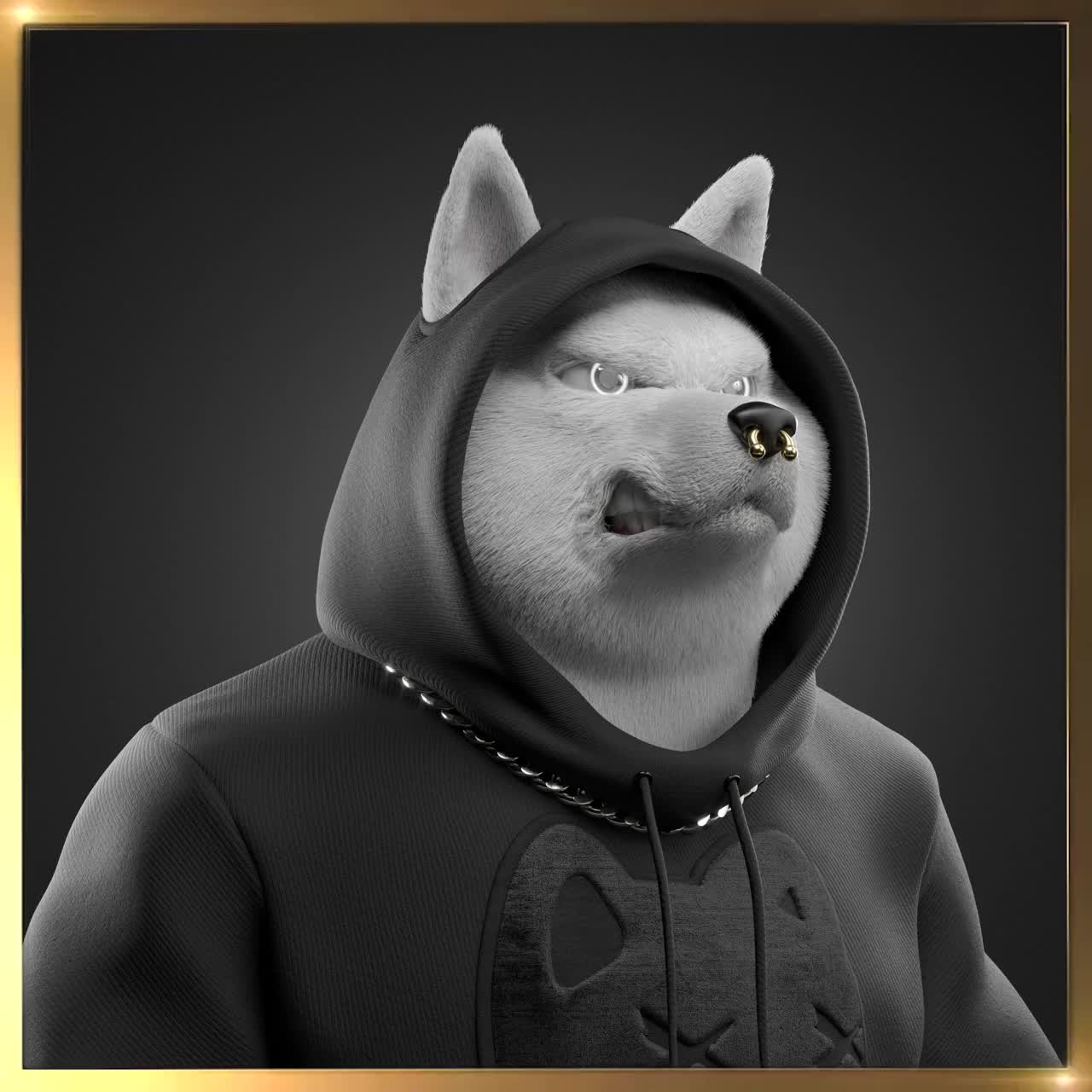 Shiba #4388