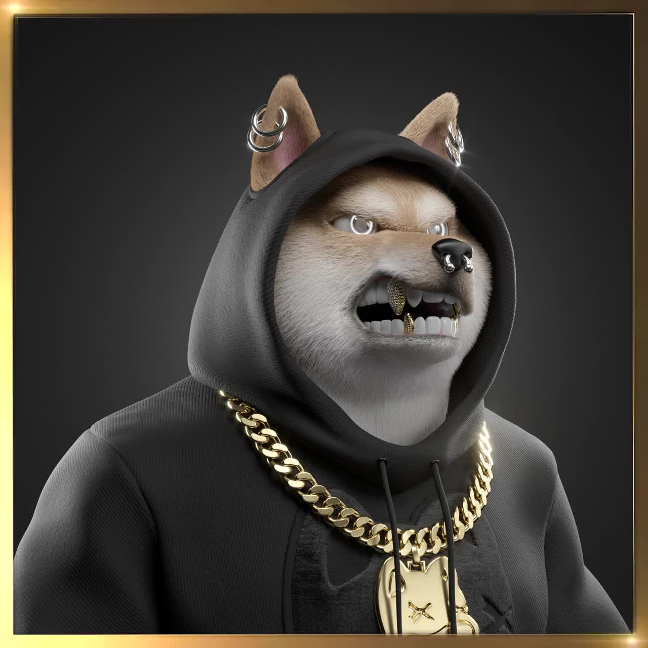 Shiba #4497
