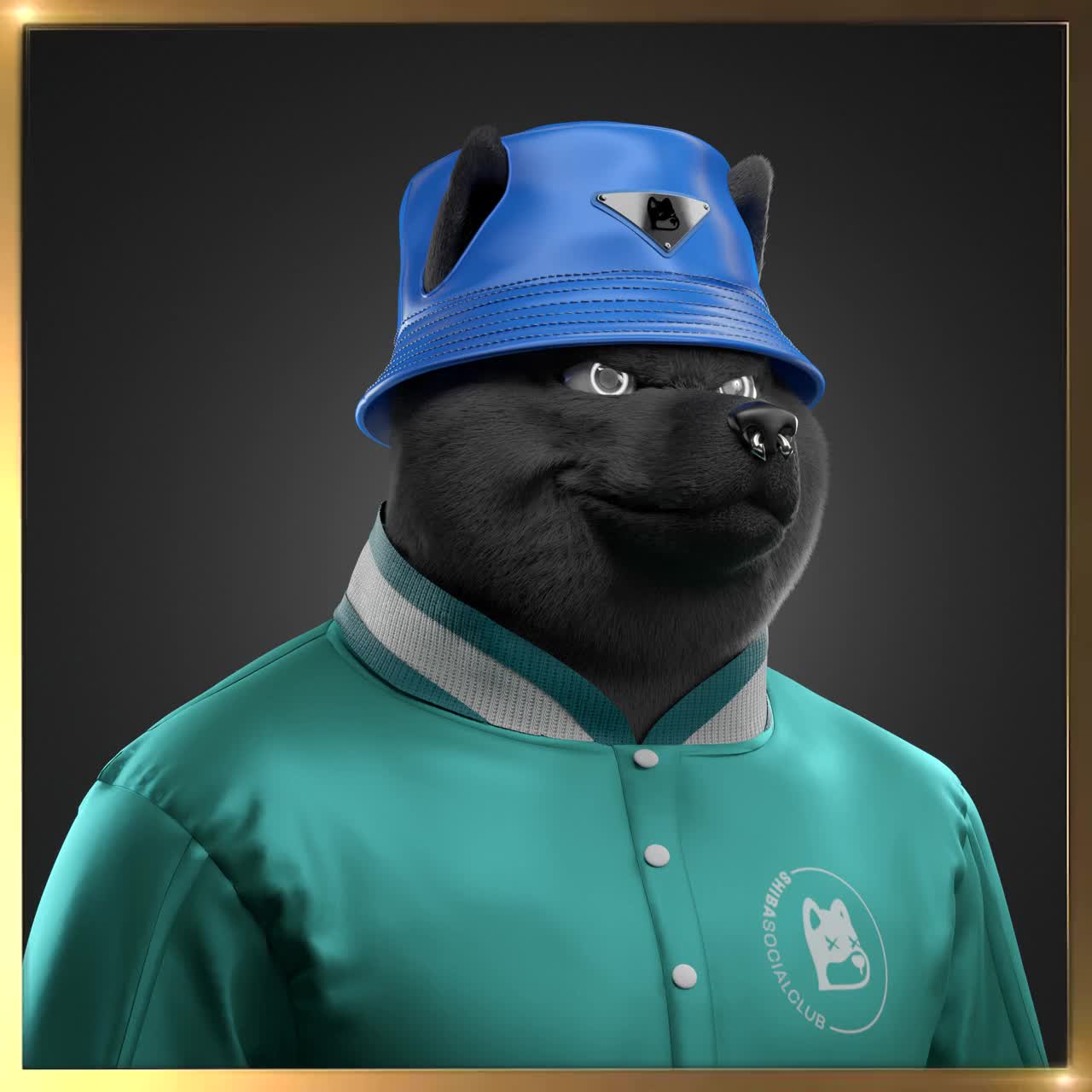 Shiba #4507