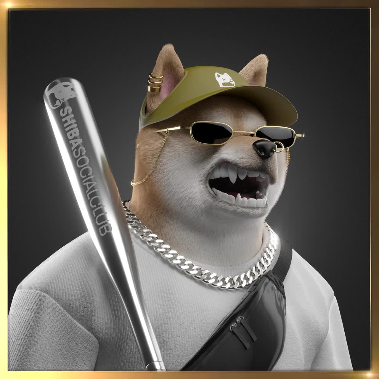 Shiba #4531