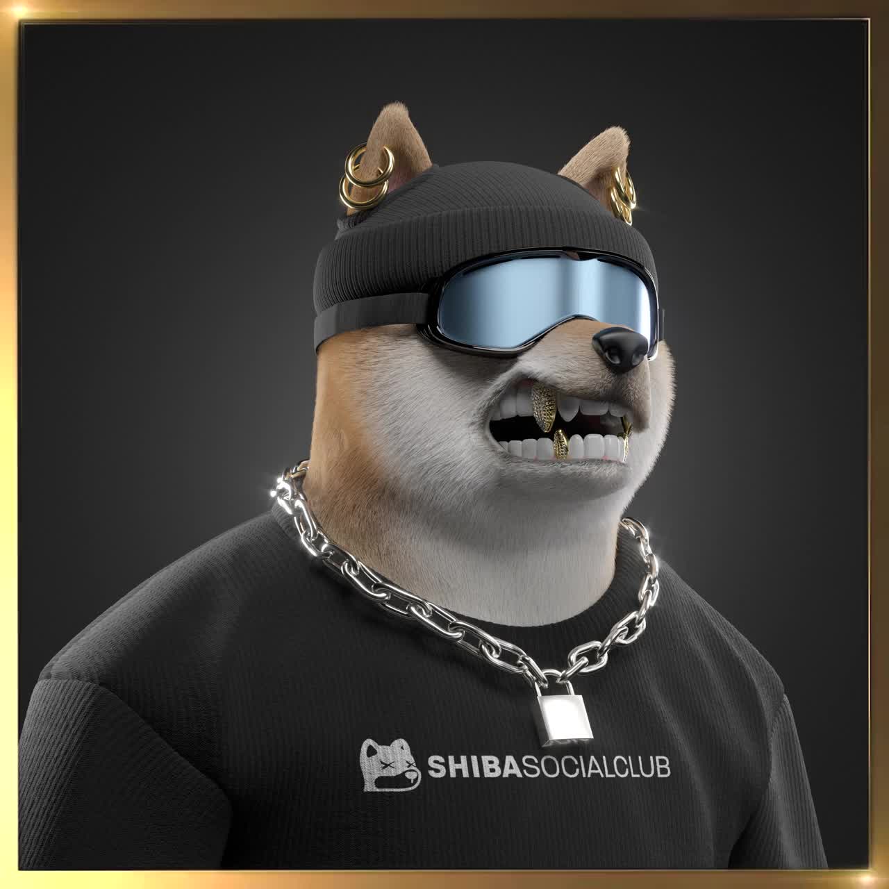 Shiba #4544