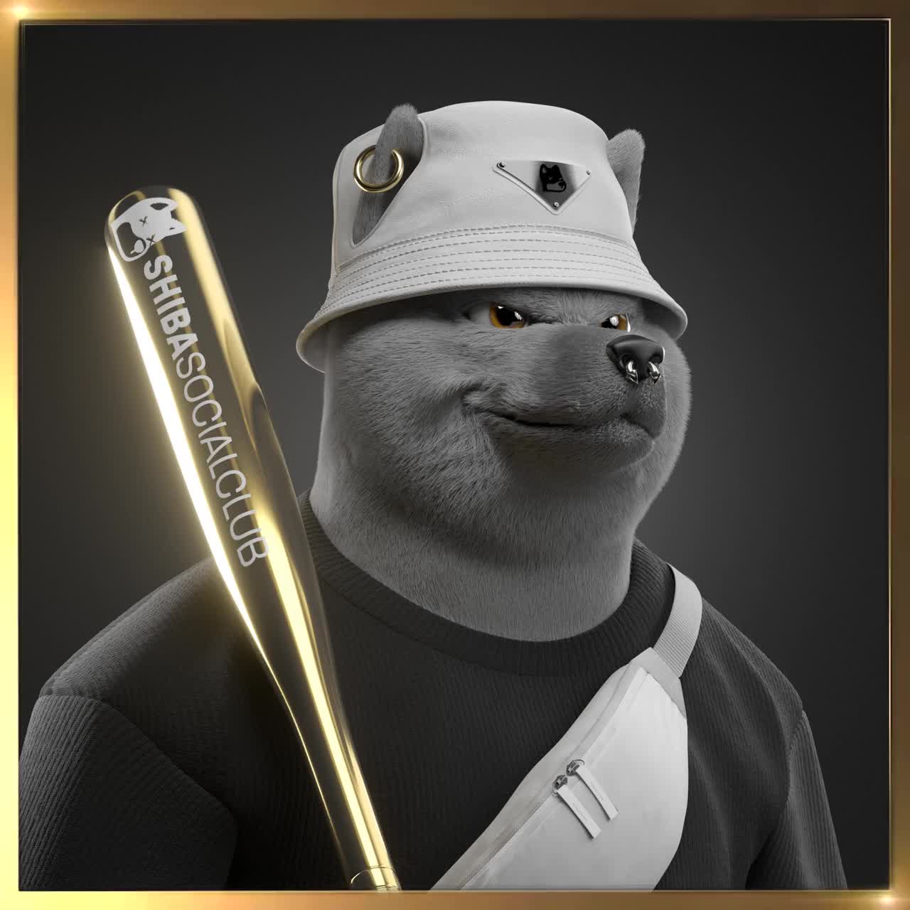 Shiba #4624