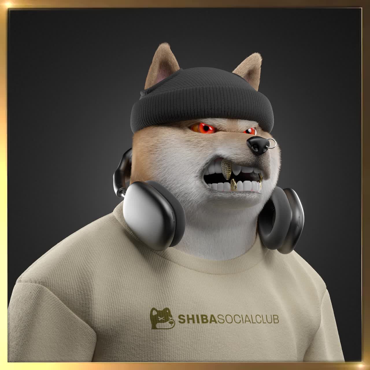 Shiba #4668