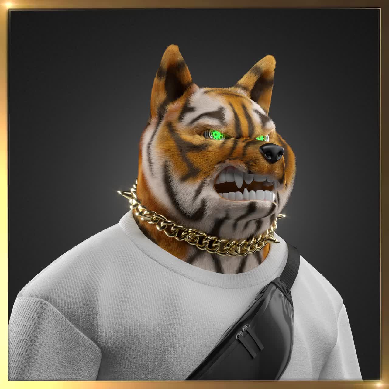 Shiba #4706