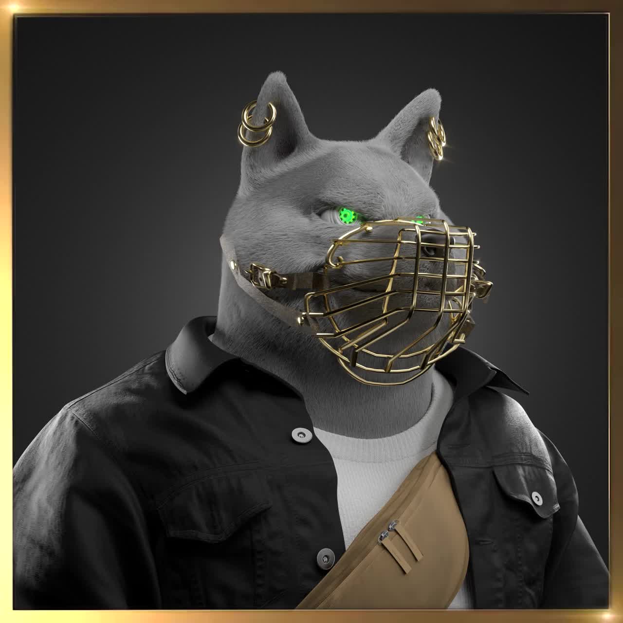 Shiba #4775