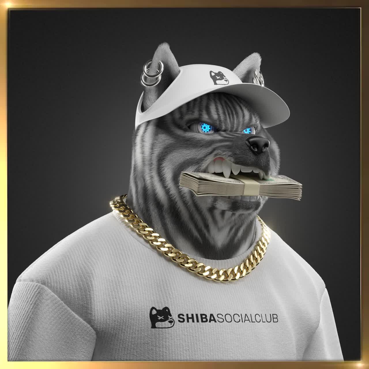 Shiba #4807