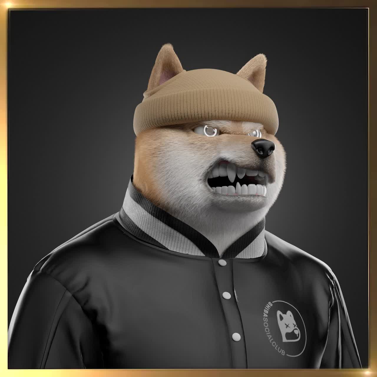 Shiba #4814