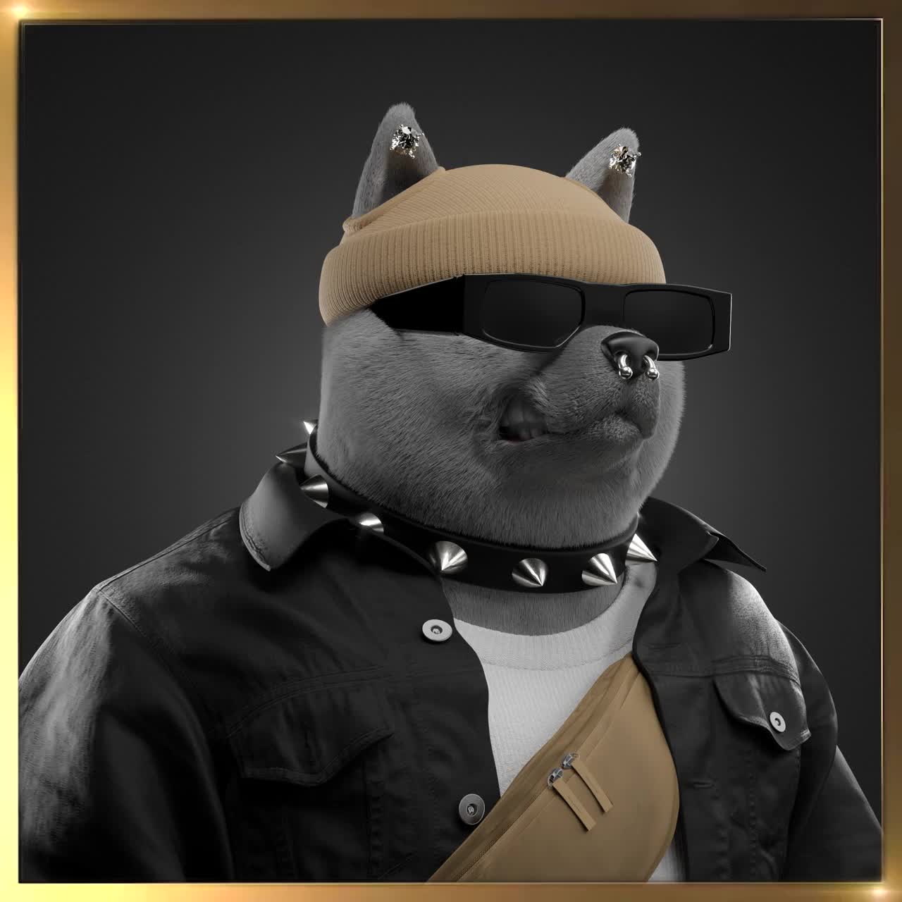 Shiba #4848