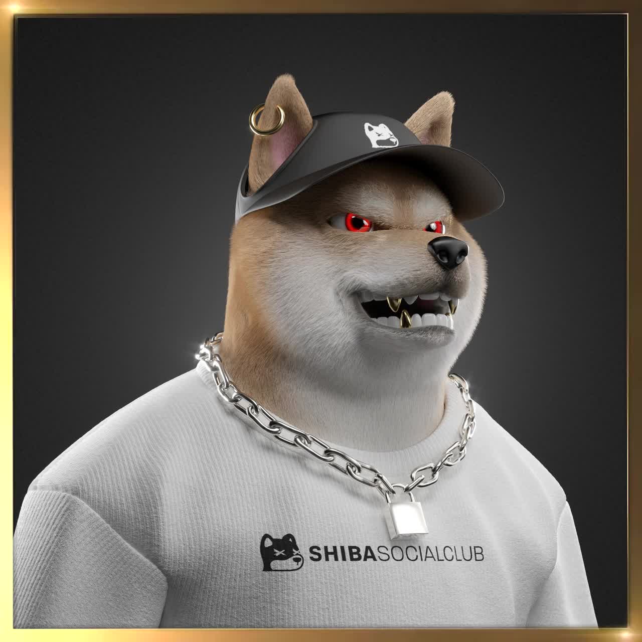 Shiba #4974