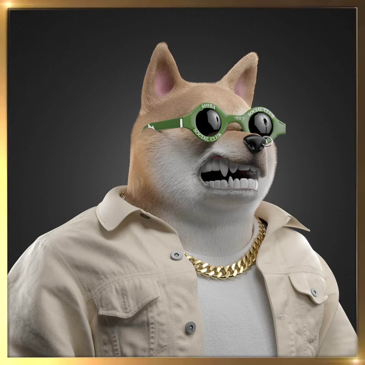 Shiba #4976