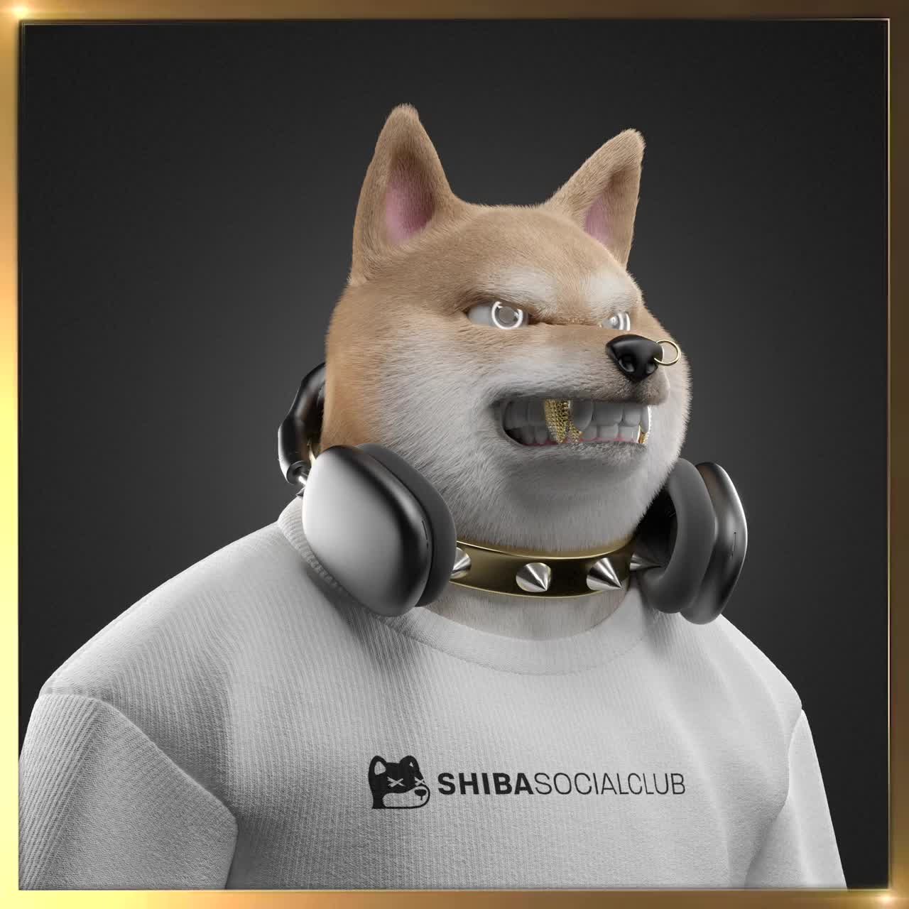Shiba #4986