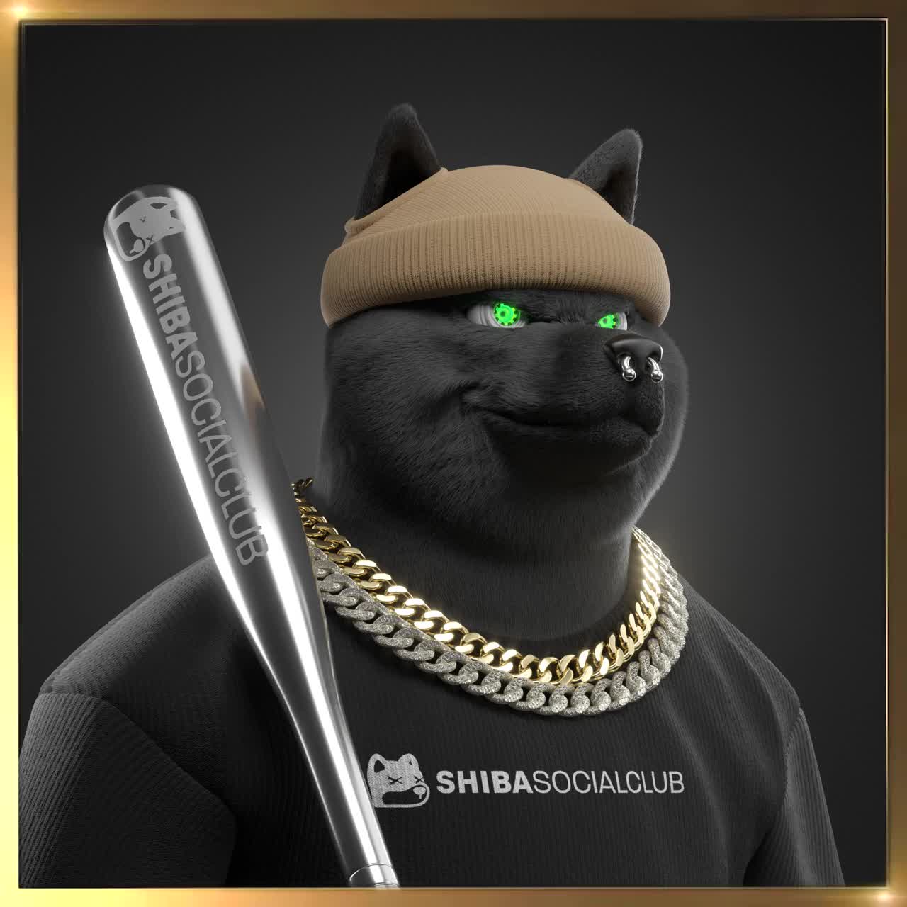 Shiba #5015