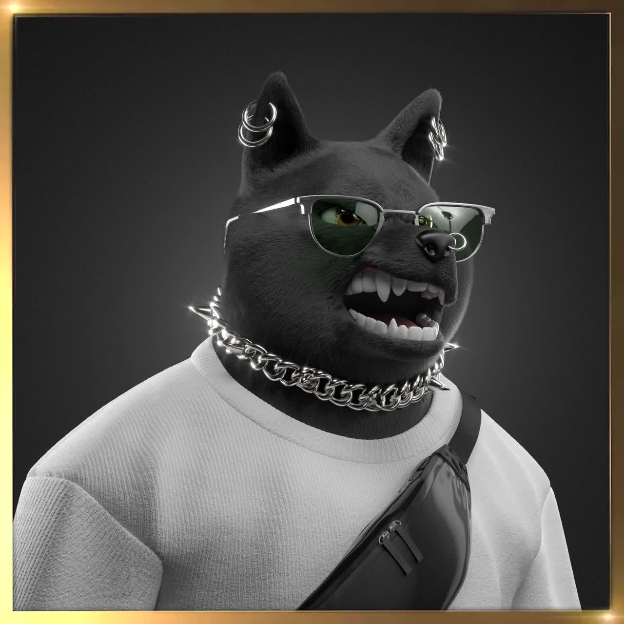 Shiba #5031