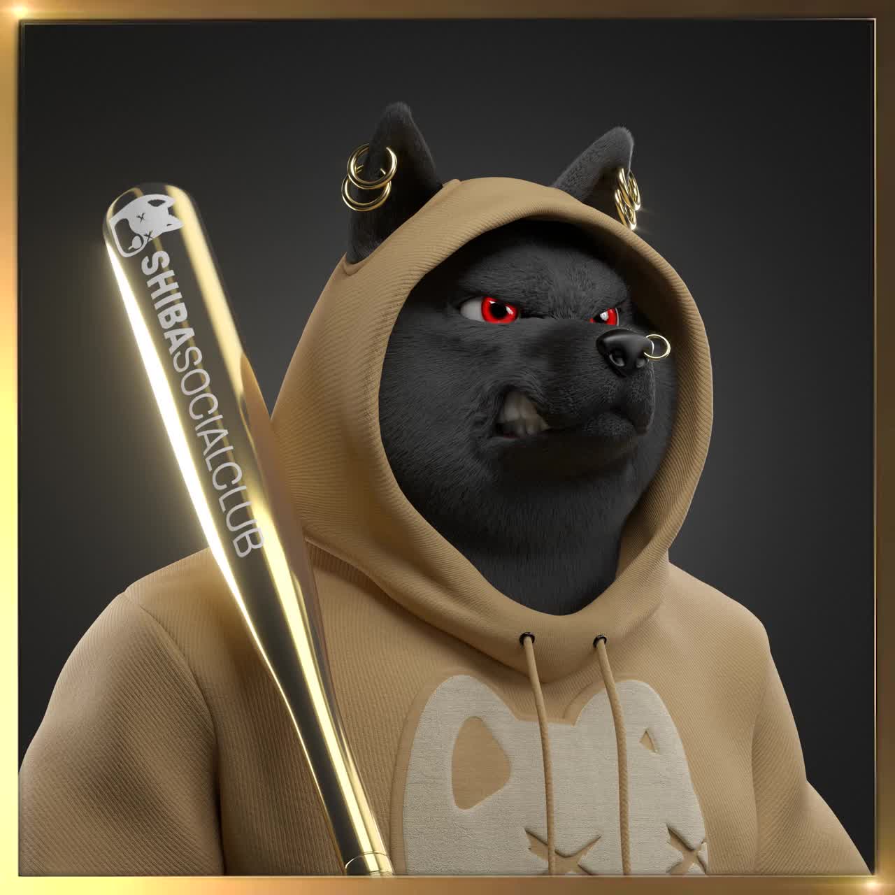 Shiba #5037