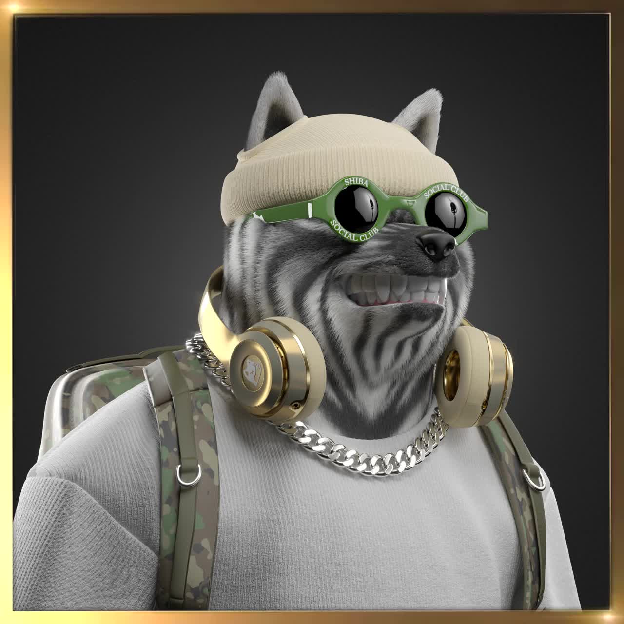 Shiba #5041