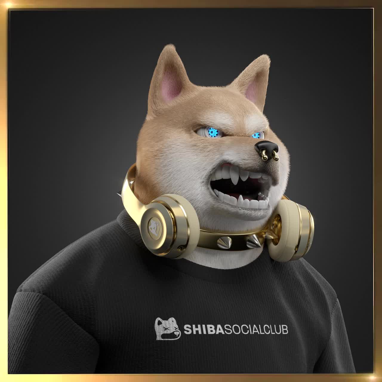 Shiba #5043