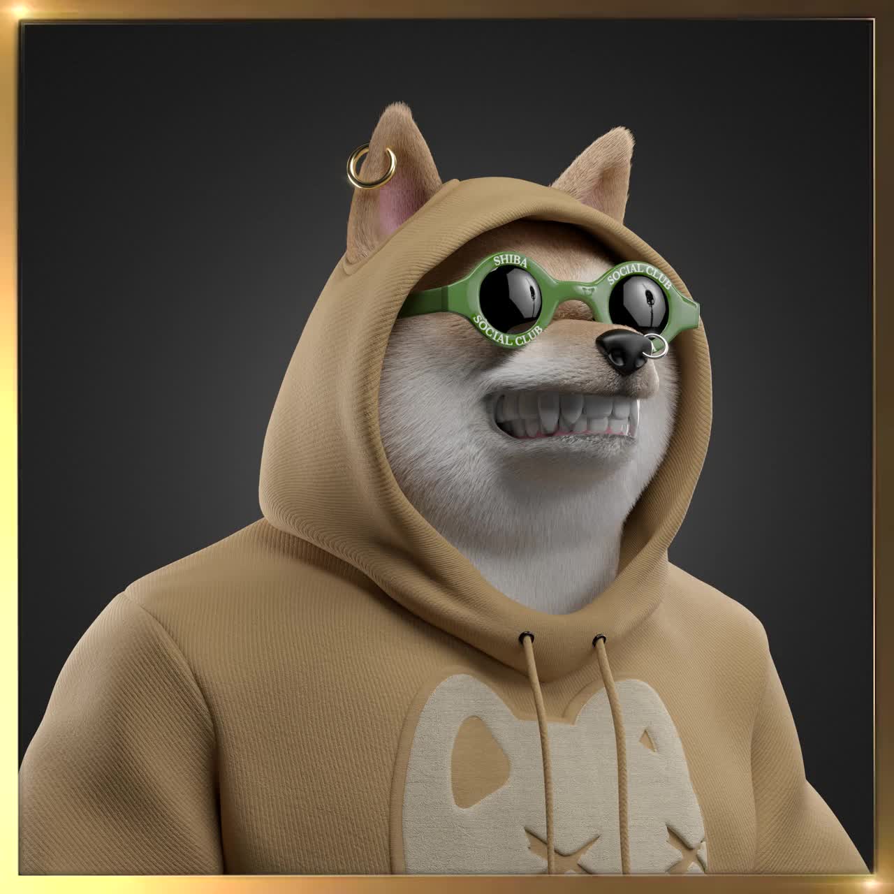 Shiba #5048