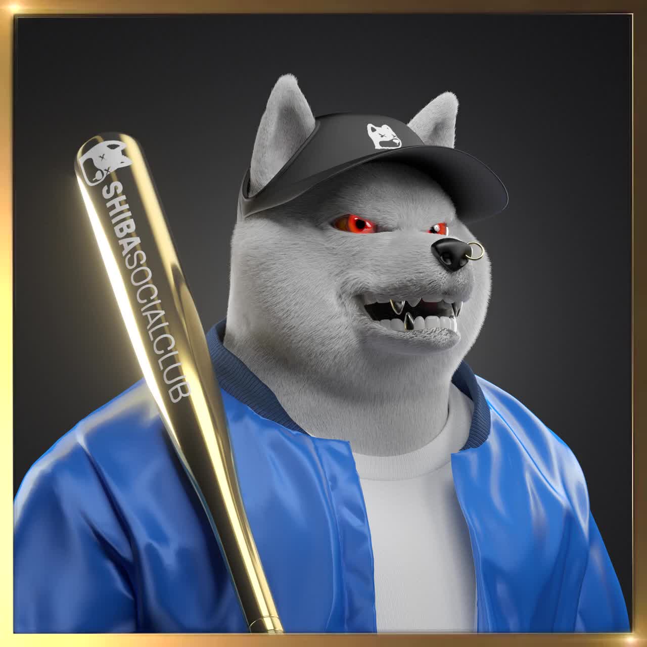 Shiba #5077