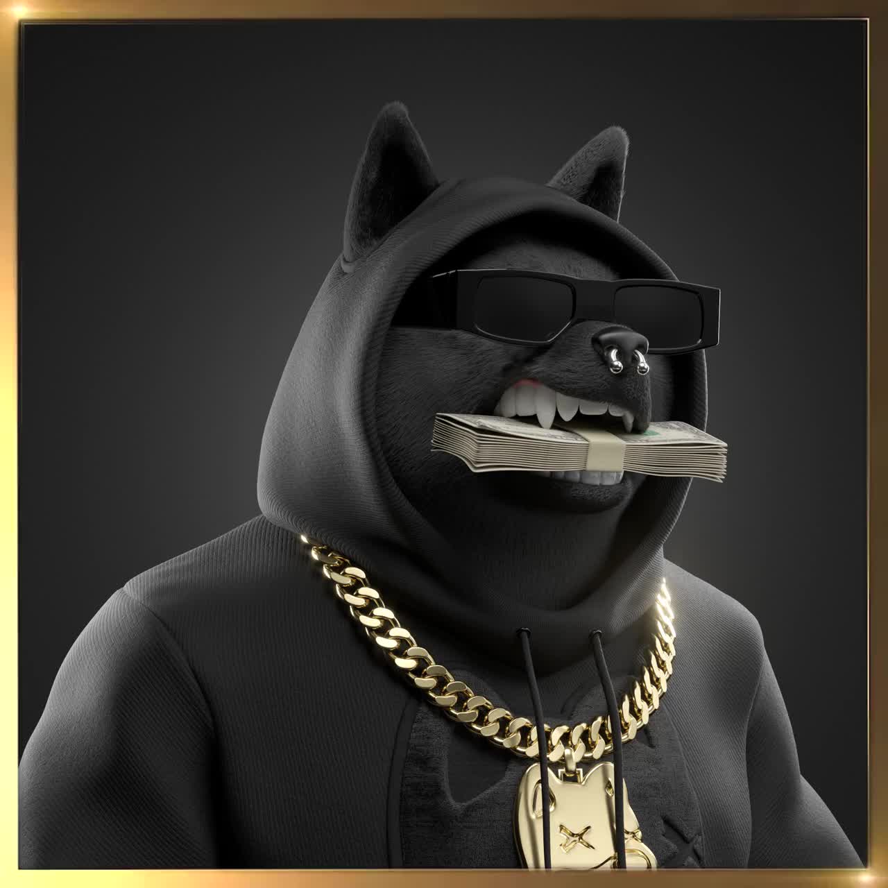 Shiba #5078