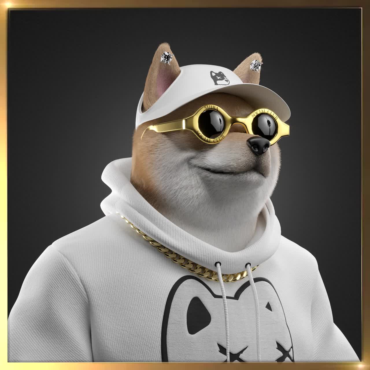 Shiba #5101
