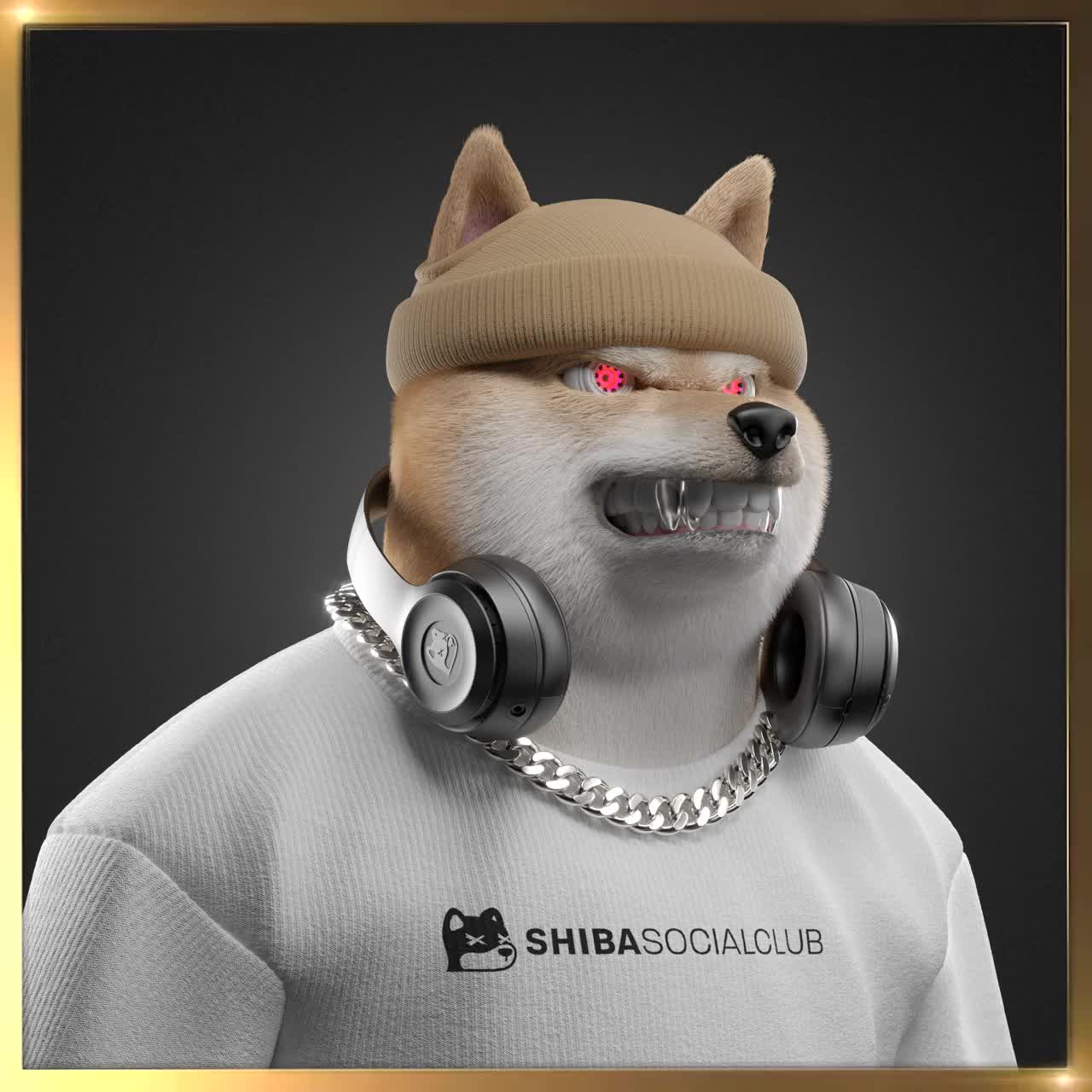 Shiba #5104