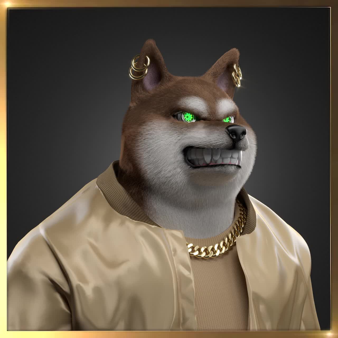 Shiba #5167