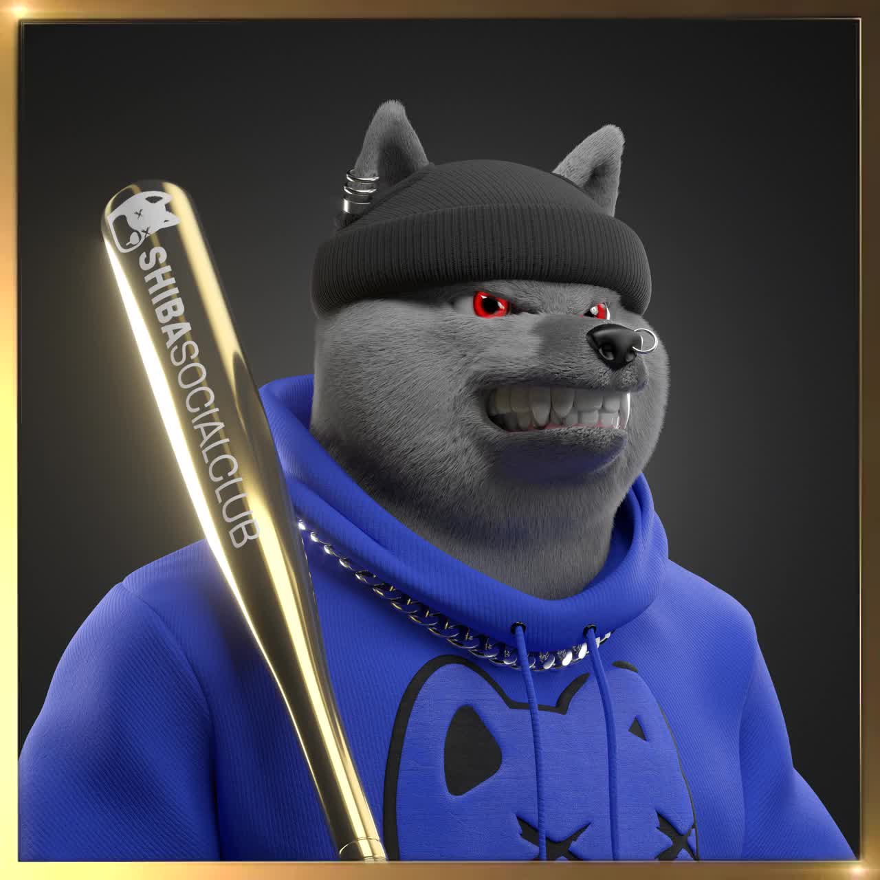 Shiba #5193