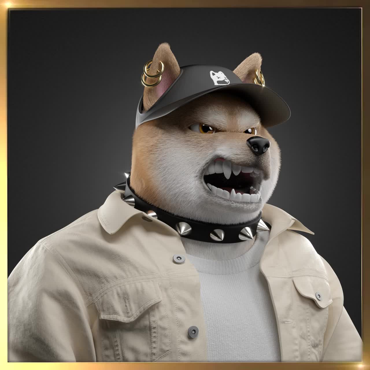 Shiba #5221