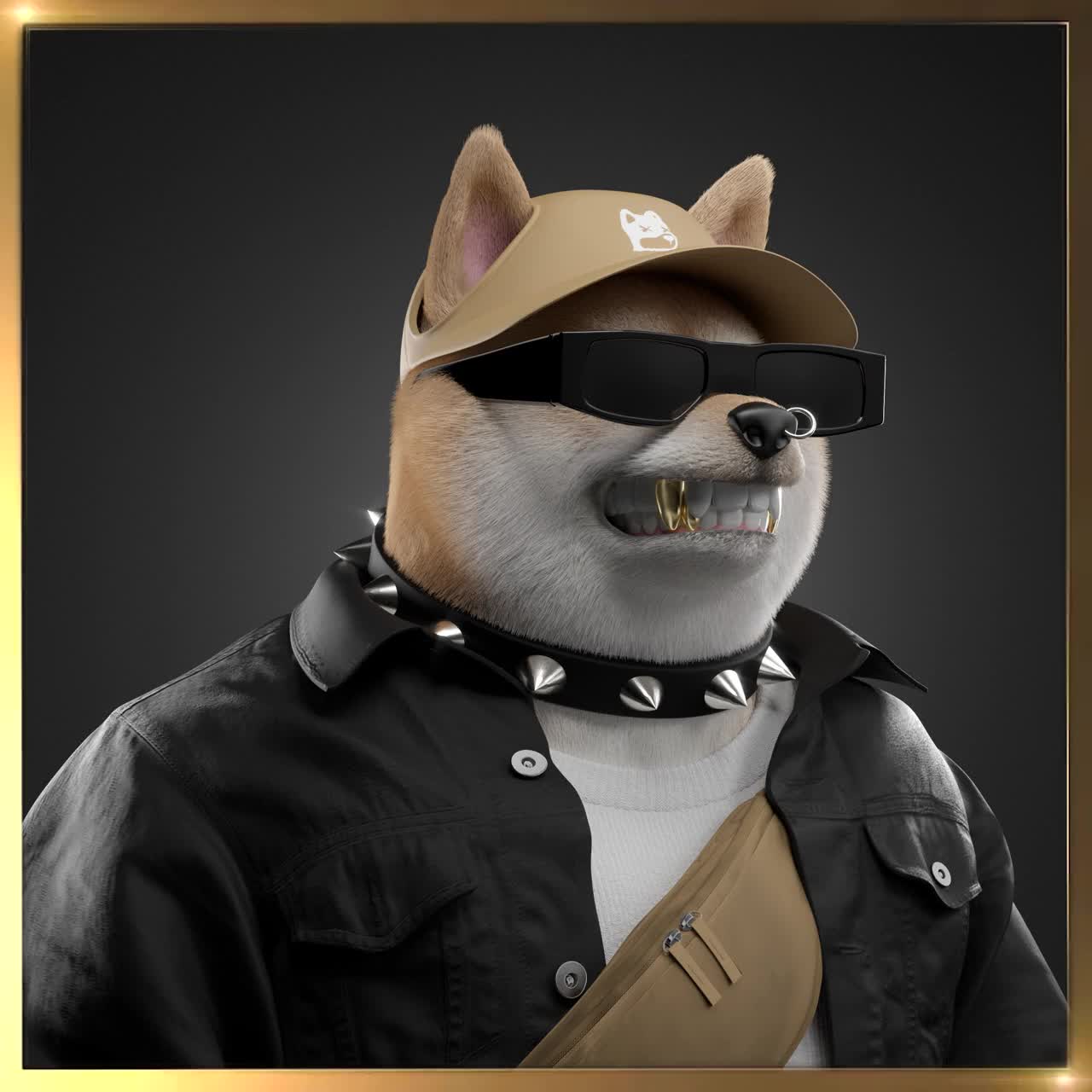 Shiba #5222