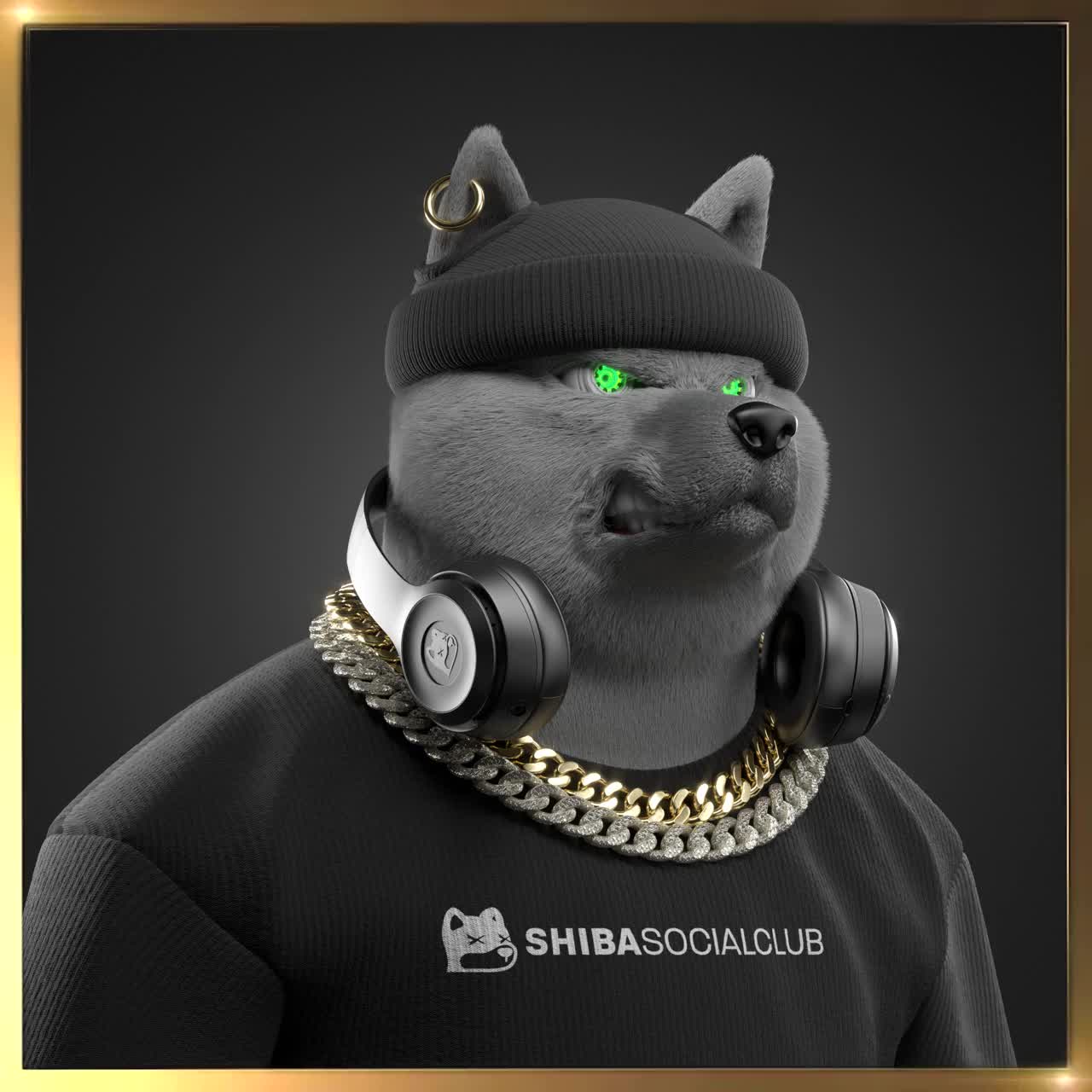 Shiba #5229