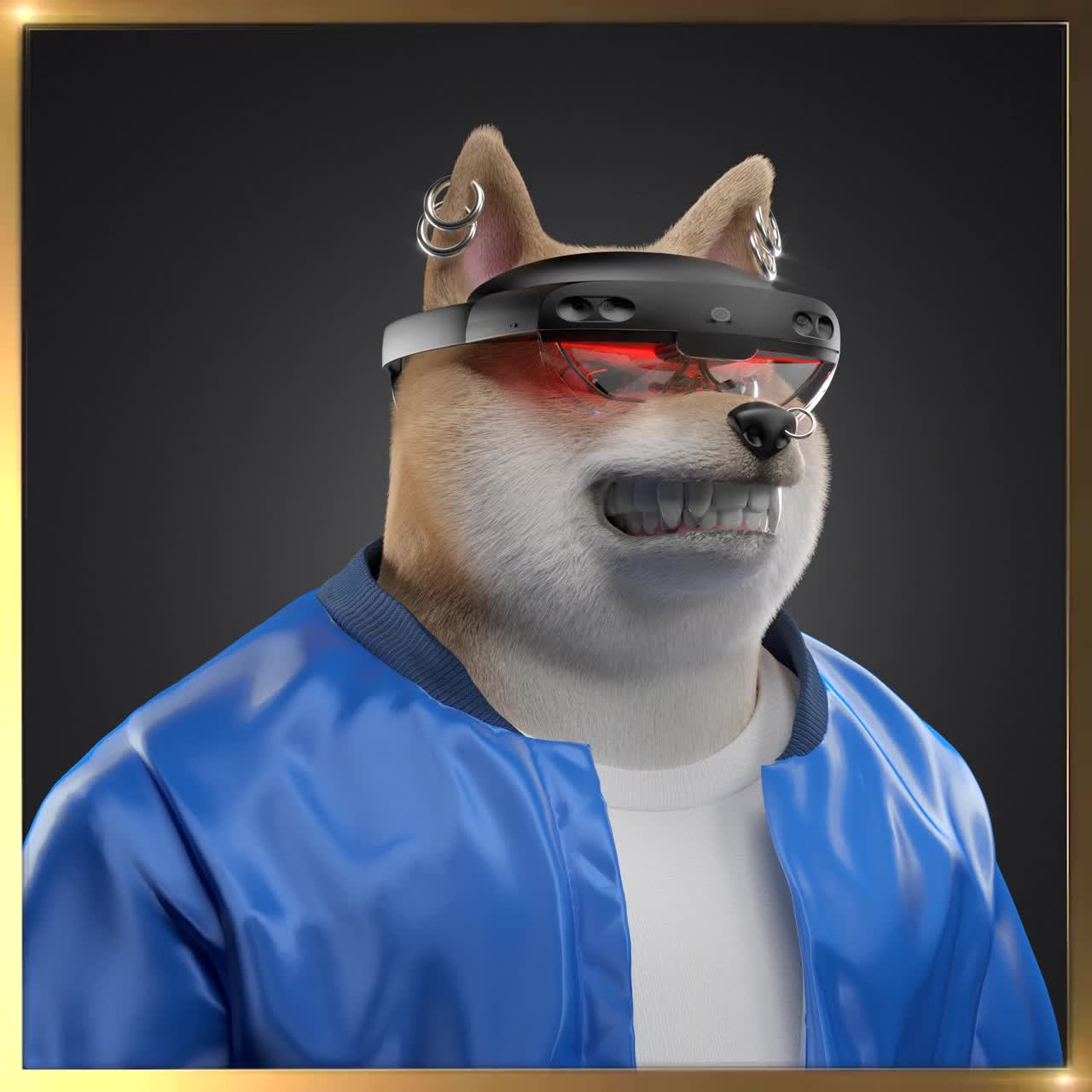 Shiba #5264