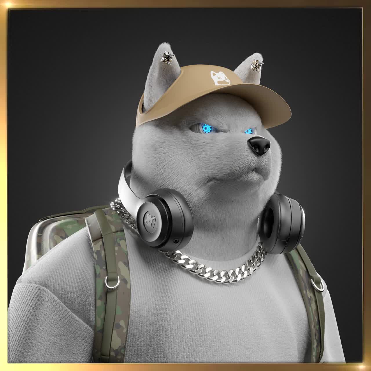 Shiba #5282