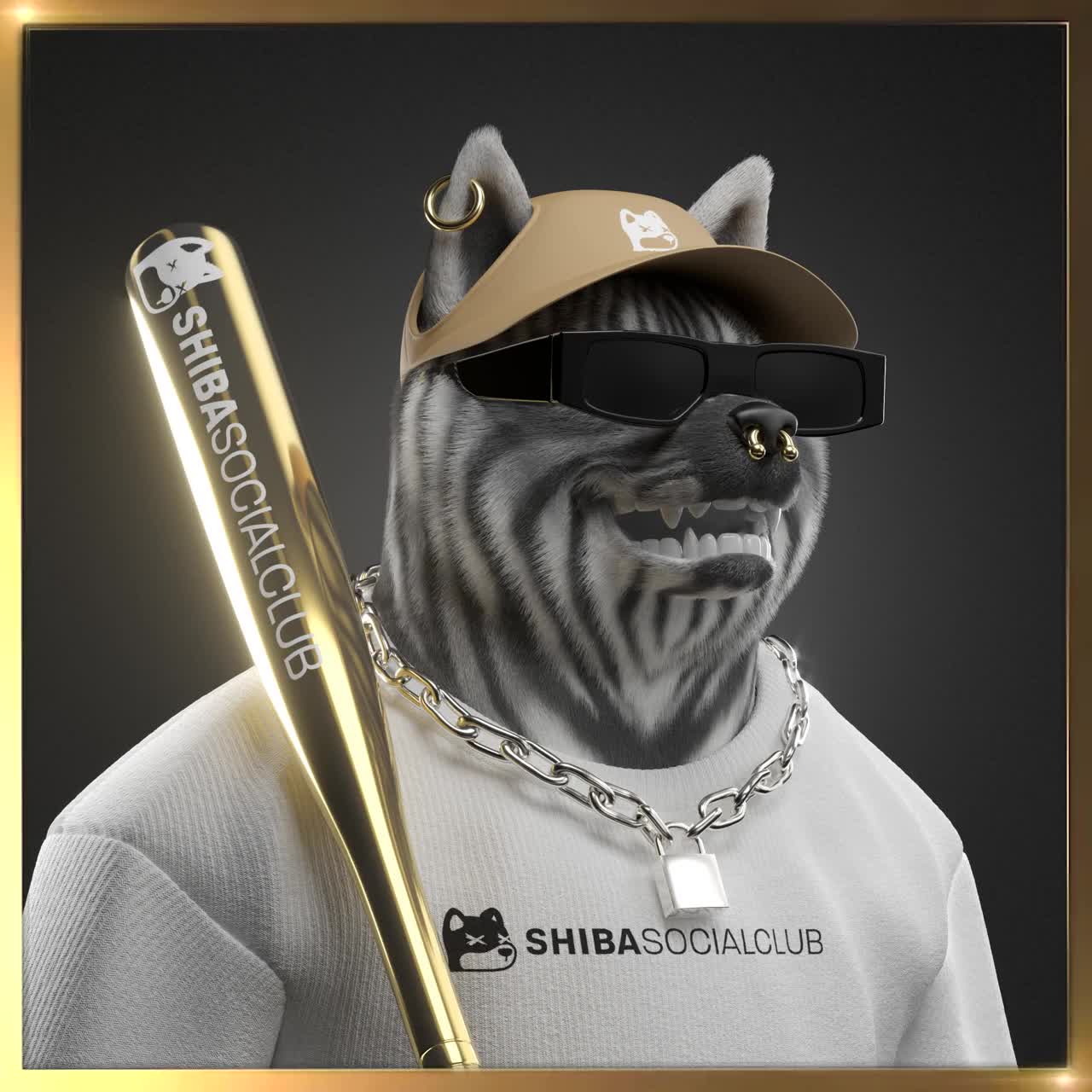 Shiba #5314